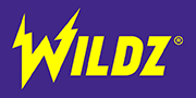 Wildz logo