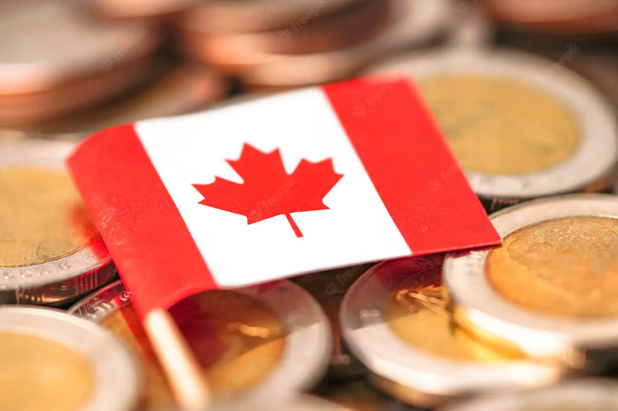 drapeau-canada-monnaie