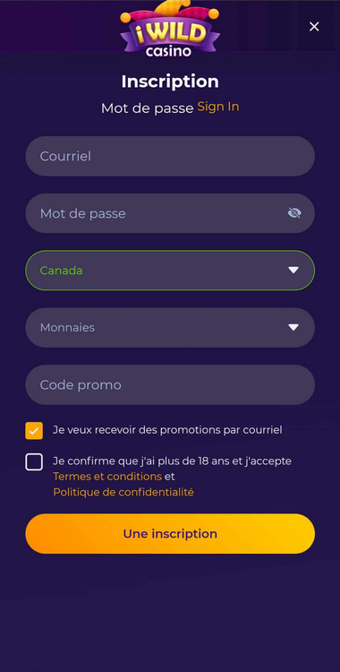 iWild Casino Registration Process Image 1