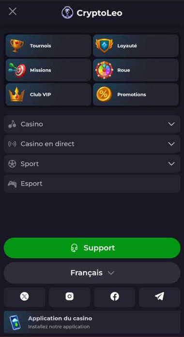 CryptoLeo Casino Mobile aperçu 1