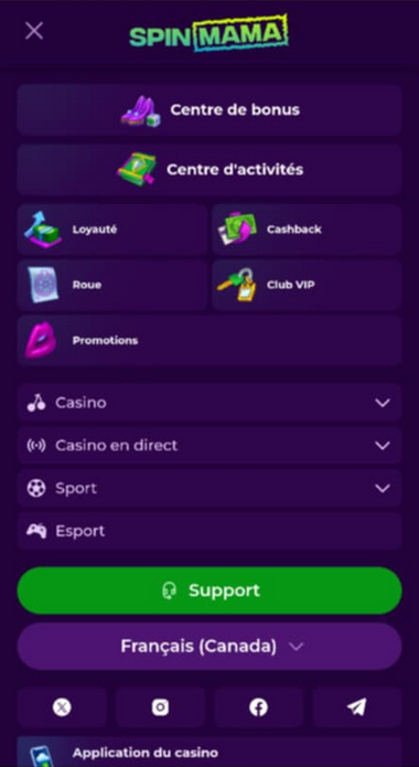 Spinmama Casino Mobile aperçu 1