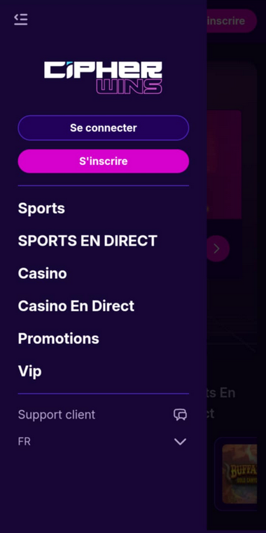 Cipherwins Casino Mobile aperçu 2