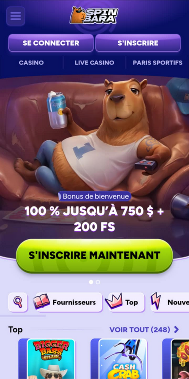 Spinbara Casino Mobile aperçu 2