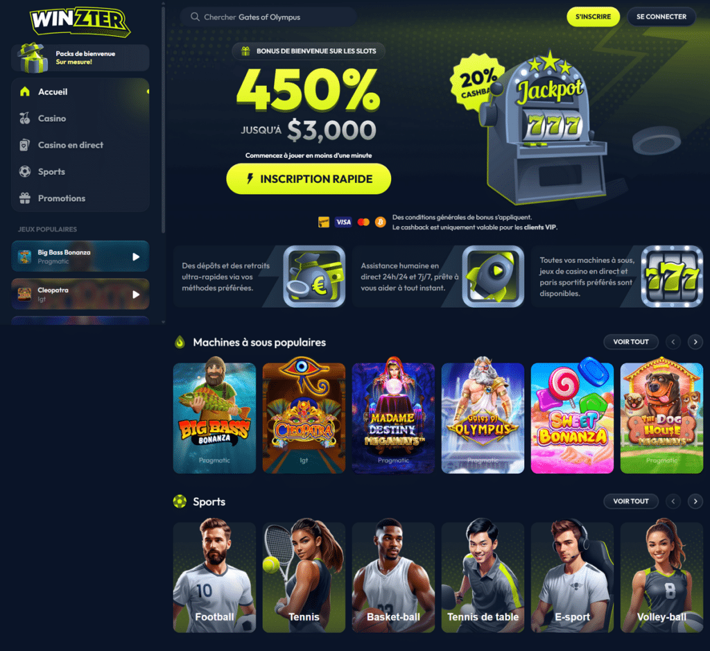 Winzter Casino Desktop Aperçu 1