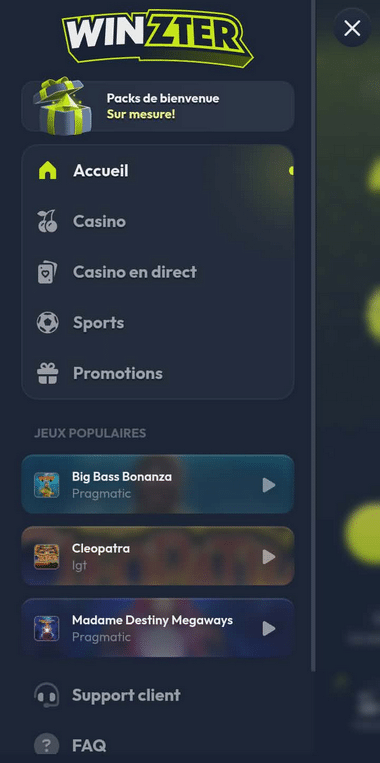 Winzter Casino Mobile aperçu 1