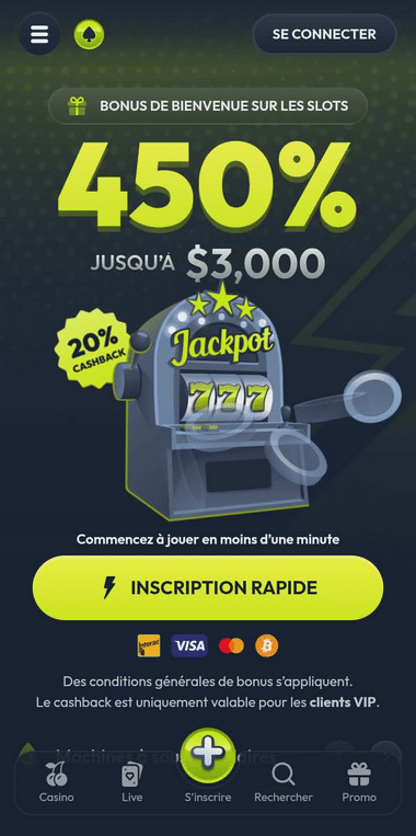 Winzter Casino Mobile aperçu 2