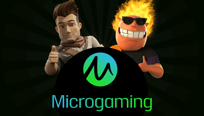 What is Microgaming and what makes it stand out