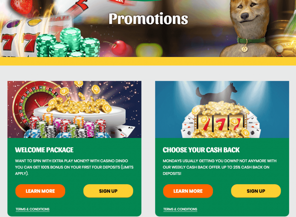 Dingo Casino Bonus Code