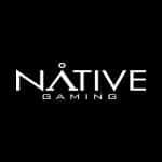 NativeGaming NativeGaming logo