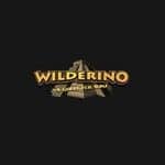 Wilderino Casino