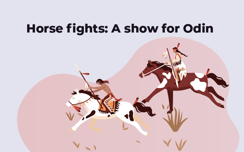 Horse fights: A show for Odin