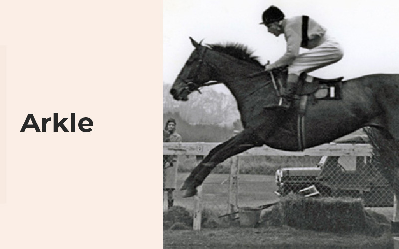 Arkle