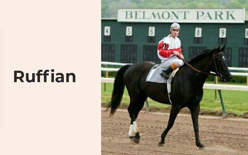 Ruffian