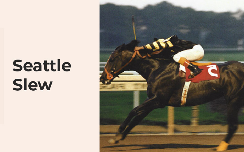 Seattle-Slew