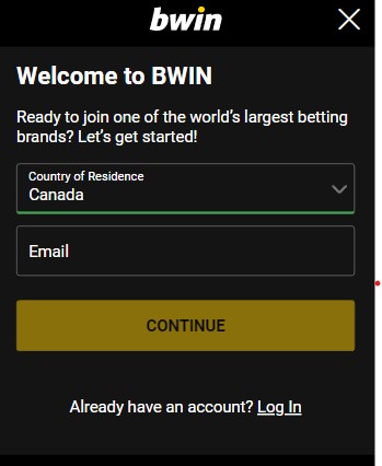 Bwin Registration Process Image 1