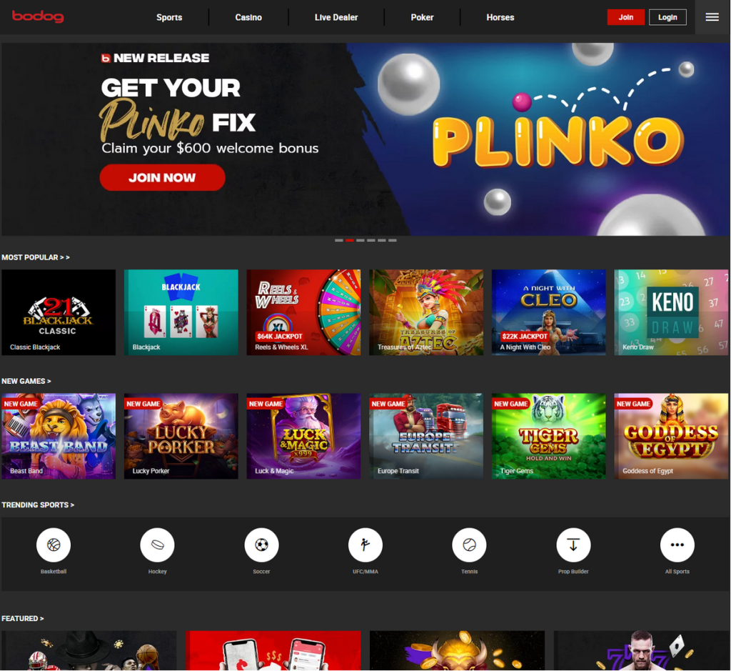 Bodog Casino Desktop Preview 2