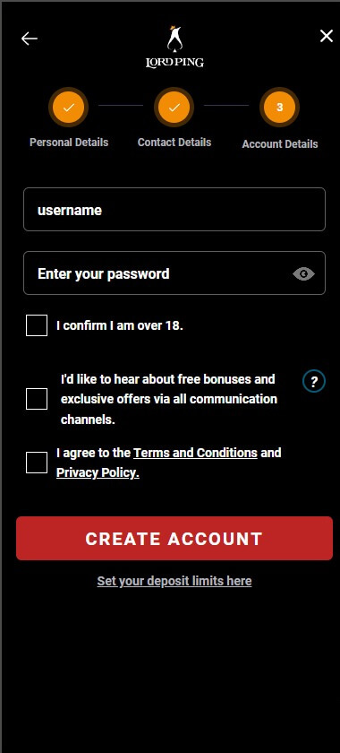LordPing Registration Process Image 3
