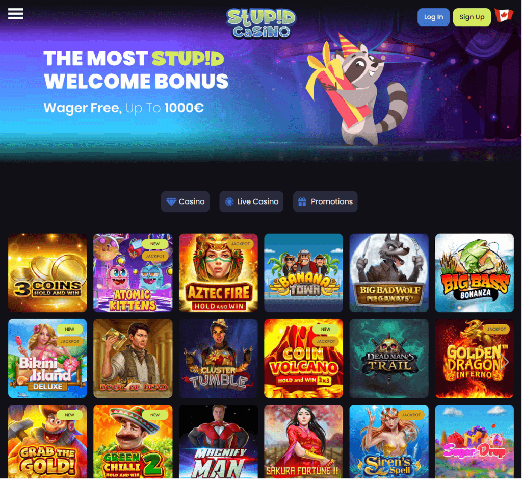 Stupid Casino Desktop Preview 2
