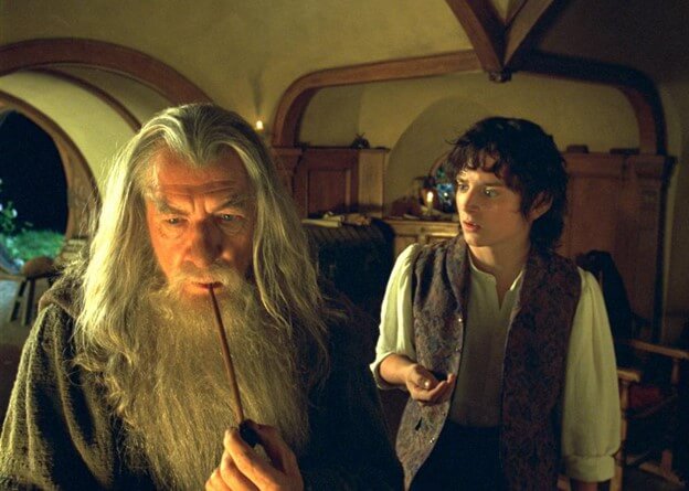 Elijah Wood and Ian McKellen in The Fellowship of the Ring
