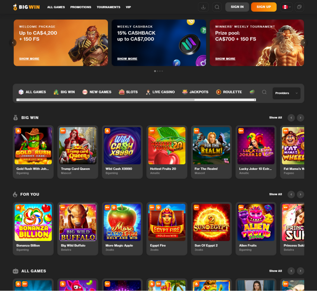 BigWin Casino Desktop Preview 2