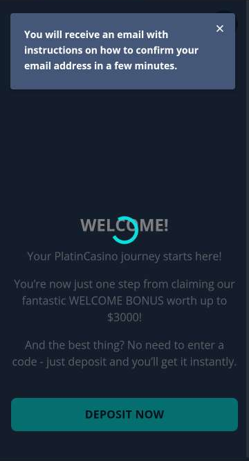 Platin Casino Registration Process Image 1