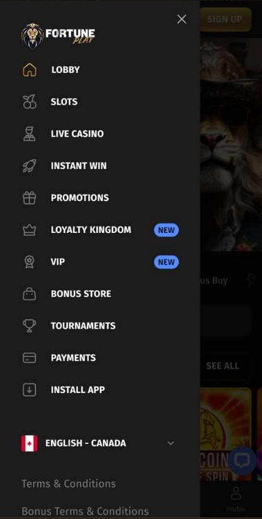 New Brunswick Online Casinos Mobile Preview 2