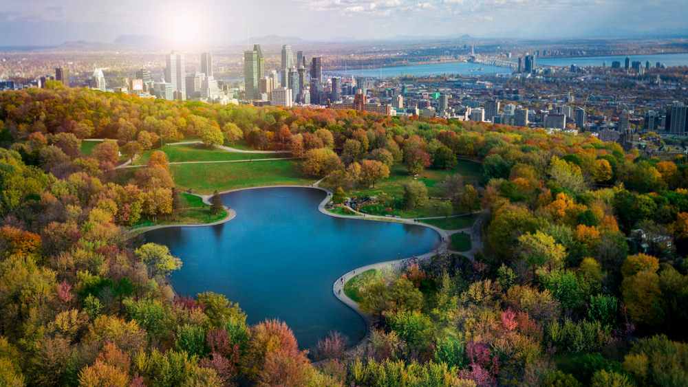 Montreal skyline in Autumn