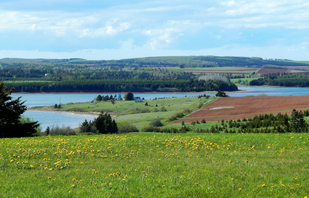 Prince Edward Island Scenery