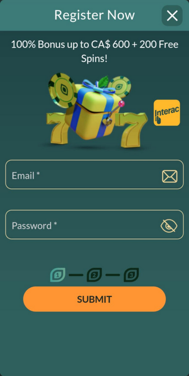 Lemon Casino Registration Process Image 1