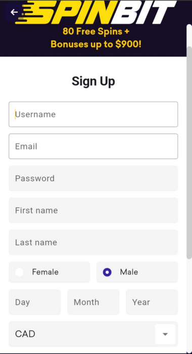 Interac Casinos Registration Process Image 1