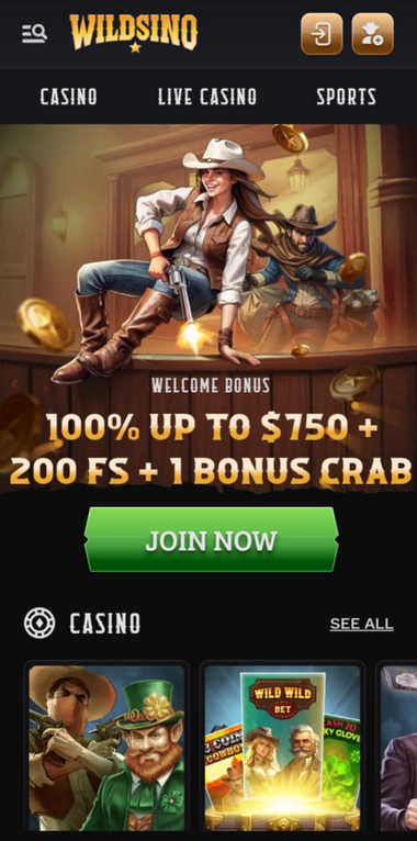 Casino Reviews Mobile Preview 2