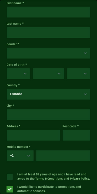 New Brunswick Online Casinos Registration Process Image 2