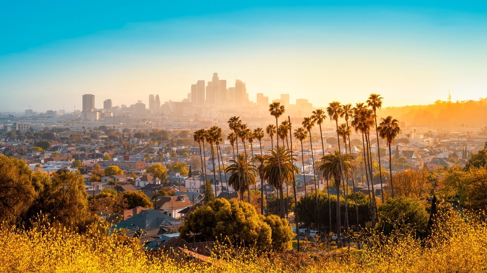 LA Skyline