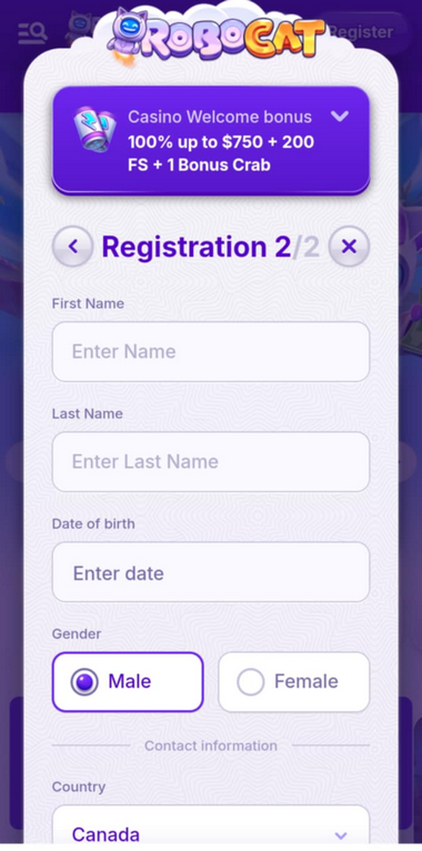RoboCat Casino Registration Process Image 2