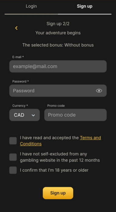 BigMamoo Casino Registration Process Image 2