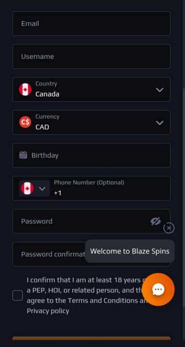 Blaze Spins Casino Registration Process Image 1