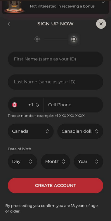 Endorphina Casinos Registration Process Image 3