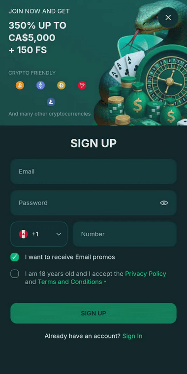 Spinaconda Casino Registration Process Image 1
