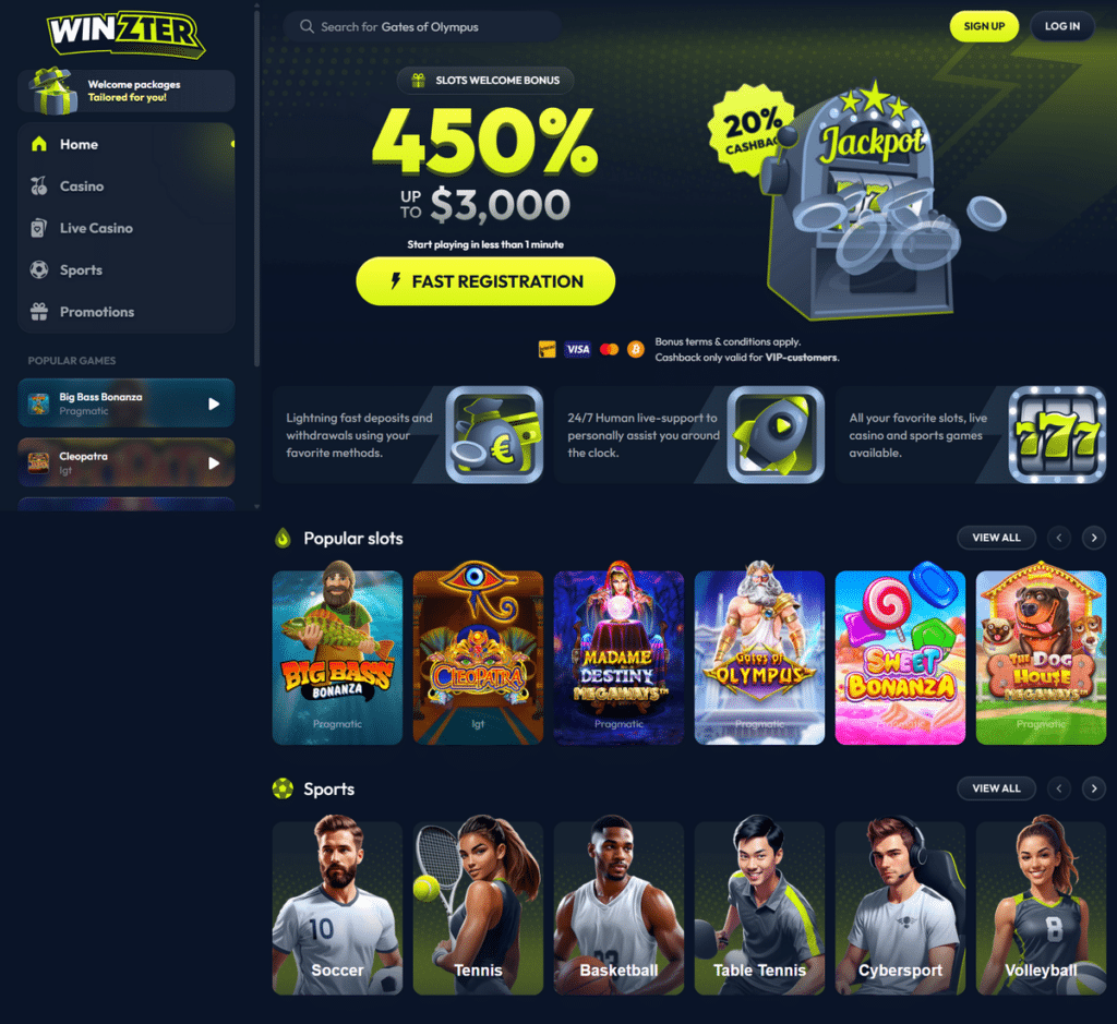 Winzter Casino Desktop Preview 1