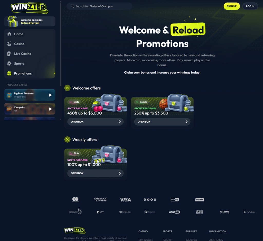 Winzter Casino Desktop Preview 2