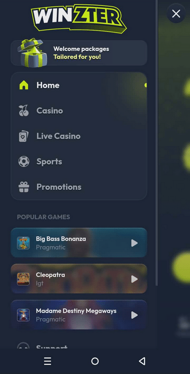 Winzter Casino Mobile Preview 1